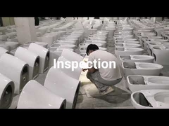 Inspeksi toilet
