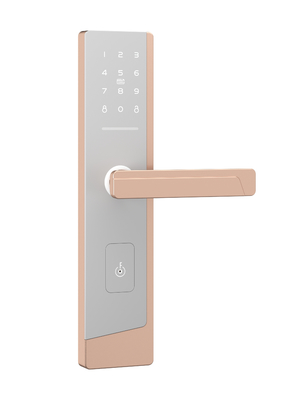 Smart Touchscreen Passcode Door Lock Untuk Satu Admin Dan Sampai 100 Pengguna