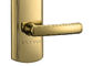 PVD emas Kunci Pintu Elektronik Dibuka dengan Kata Sandi atau Kartu Emid