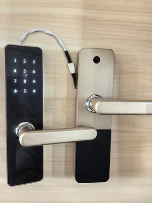 Aluminium Alloy Cat Finish Bluetooth Door Lock Remote Control Dengan Konektivitas Bluetooth / Wi-Fi
