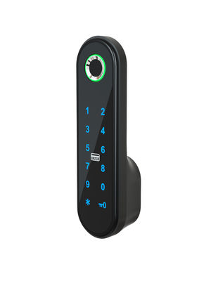 286g Elegant Smart Cabinet Lock/ Code APP Card Cabinet Lock Perak / Hitam / Rose Gold / Emas / Disesuaikan