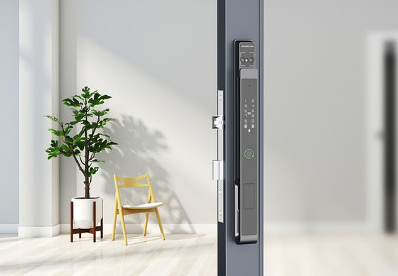 Aluminium Commercial Smart Lock Video Cat Eye Palm Vein Unlocking IP65
