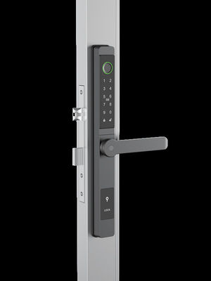 Pengakuan wajah / Cat Eye Video / Palm Vein Smart Door Lock IP65 Aluminium