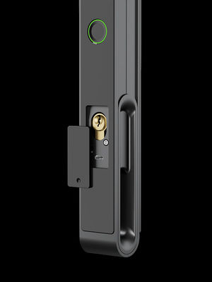Pengakuan wajah / Cat Eye Video / Palm Vein Smart Door Lock IP65 Aluminium