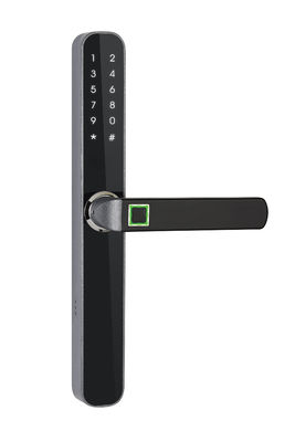IP65 Antifreeze Frame Aluminium Sidik Jari Pintu Kaca Smart Lock