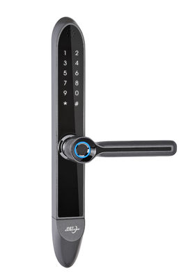 IP65 Antifreeze Frame Aluminium Sidik Jari Pintu Kaca Smart Lock