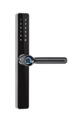 IP65 Antifreeze Frame Aluminium Sidik Jari Pintu Kaca Smart Lock