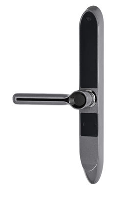 IP65 Antifreeze Frame Aluminium Sidik Jari Pintu Kaca Smart Lock
