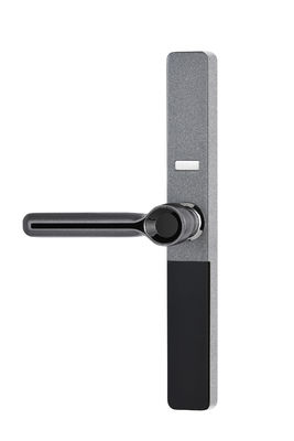 IP65 Antifreeze Frame Aluminium Sidik Jari Pintu Kaca Smart Lock