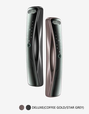 Real Time Capture Fingerprint Passcode Kunci Pintu Digital  1 Kartu
