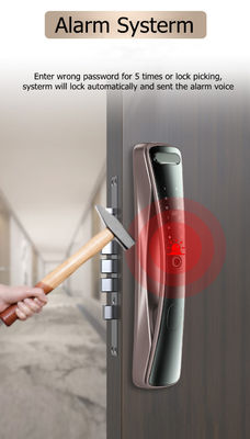 Real Time Capture Fingerprint Passcode Kunci Pintu Digital  1 Kartu