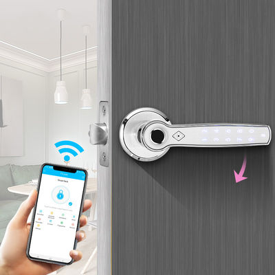 TTlock sidik jari Bluetooth Smart Lock Keyless Zinc Alloy Handle