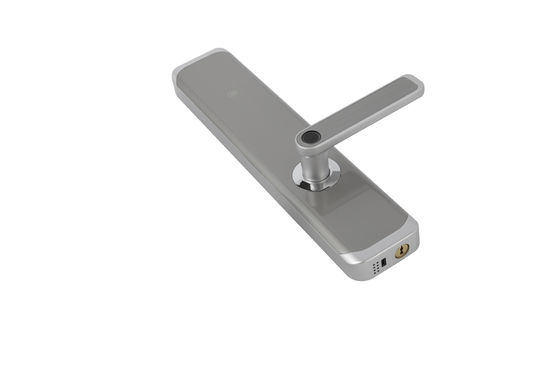 Standar Eropa 6068 Smart Mortise Lock For High Security Residence Silver Color Passcode Lock