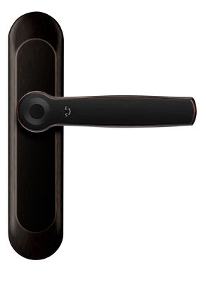 ROHS Smart Fingerprint Bluetooth Pintu Kunci AI Voice Sink Alloy Handle